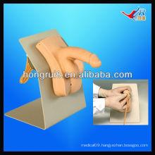 ISO Wearable Male Urethral Catheterization Simulator, urethral catheterization model